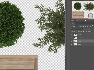 Free Plants and Outside Furniture TopViews plans PNG PSD PDF Texture