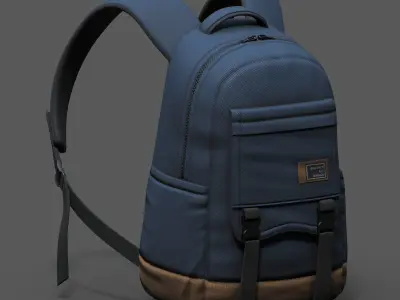 Backpack bag baggage Color  Low-poly 3D model