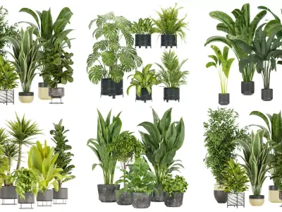 Collection plant indoor vol 2 3D Model Pack