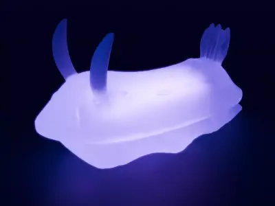  Sea slugs Indirect lighting 3D model