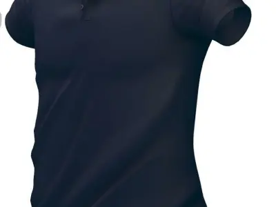 Cartoon High Poly Subdivision Dark Blue Polo Low-poly 3D model