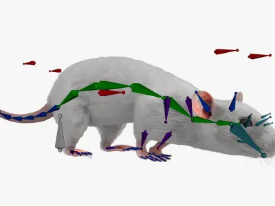  White Rat Fur Rigged For Blender Animated Set 