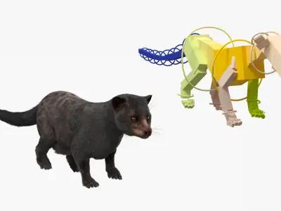  Asian Palm Civet Musang Dark Coat Fur Rigged 