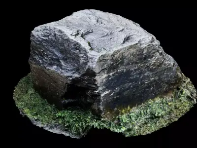 Big Mossy Boulder 3D model