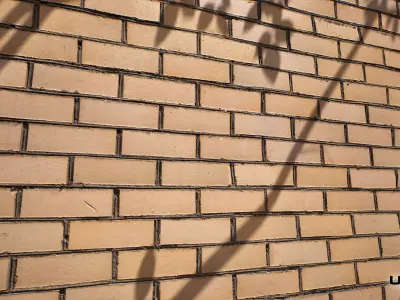 Bricks 01 - Scanned Materials  Texture