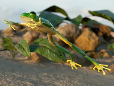  Jumping Tree Frog Animated Rigged for Blender 