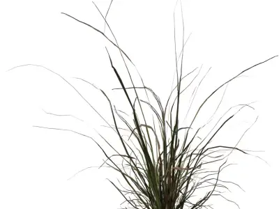 Realistic Wild Grass Clump Pack Low-poly 3D model