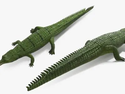  Green Long Snouted Gharial Crocodile 