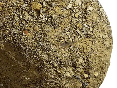 Gravel Seamless Texture 2K - EXR 5 - JPG 5 Texture Texture