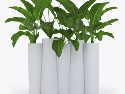 bamboo Progettato dallo studio francese Tous Les Trois banana 3D model