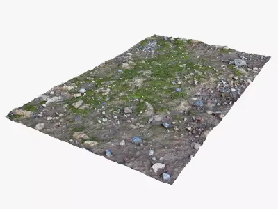 Mossy Ground Low-poly 3D model