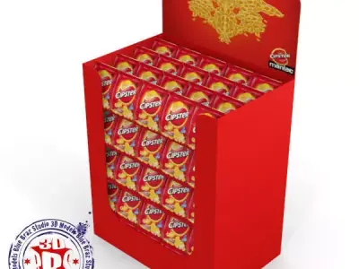 display chips 3D model