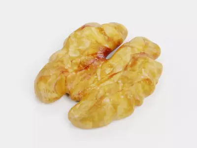 Walnut Kernel - Realistic Organic Nutmeat 3D model