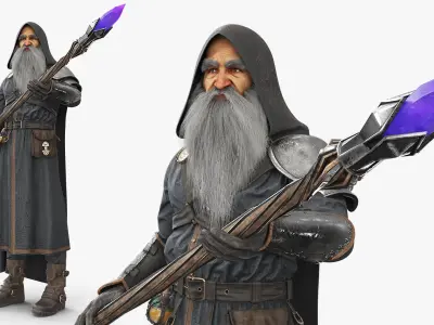  Hooded Wizard with Crystal Staff Standing Rigged 