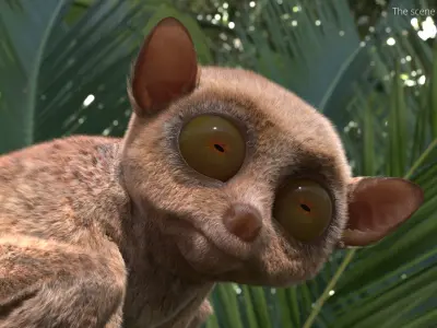  Seated Tarsier Fur for Cinema 4D 