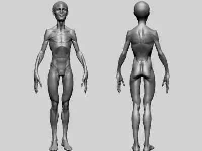 Creature Body Form H Free 3D model