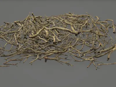  Twig Tree Roots PBR 