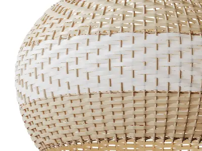 Lampshade Rattan Pendant Light 3D model