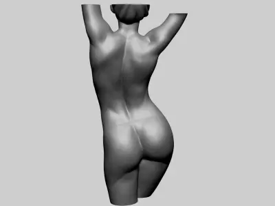 Female Torso C 3D model