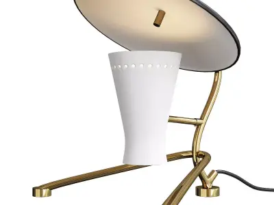 Delightfull Barry Low-poly 3D model