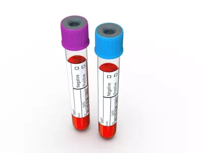 Blood Collection Tube 3D model