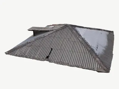 Old Roof Scan 3d model Low-poly 3D model