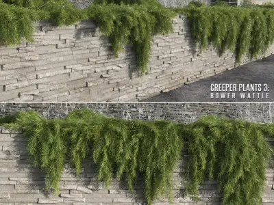  Creeper Plants Collection (+GrowFX) 