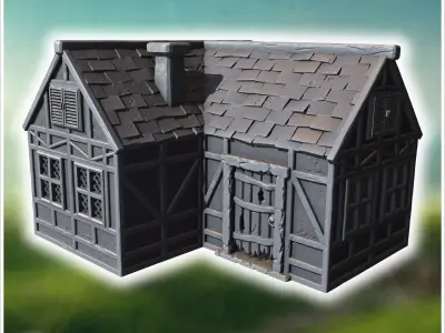 Medieval-style house with a wooden door lattice windows and a da 3D print model