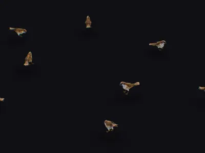 Realistic Sparrow Flock Animated Bird Swarm Shoal Birds Low-poly 3D model