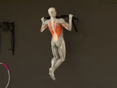  Male Muscular System Pull-up Animated Rigged for Cinema 4D 