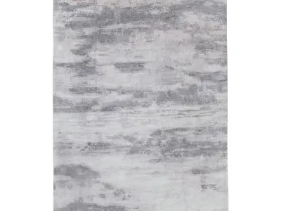 NAHATA SILK and WOOL RUG 3D model