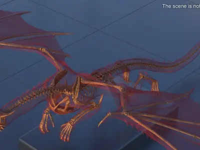  Petrified Skeleton Dragon in Transparent Shell 