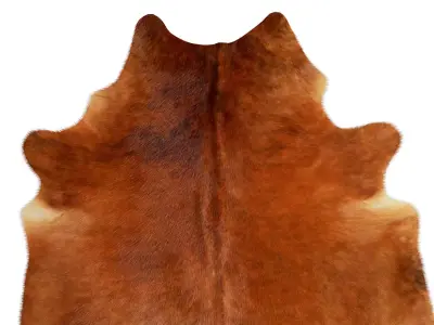Medium Brindle Cowhide 3D model