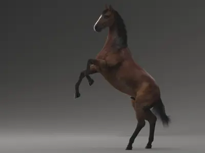  Horse ANIMATED 