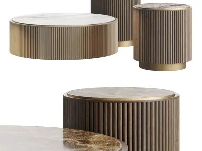 Ana Roque PLUM Coffee Table Low-poly 3D model