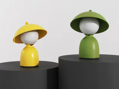 Hat Companion Lamp  3D model