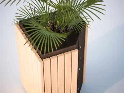 Palm tree in a high planter 3D model