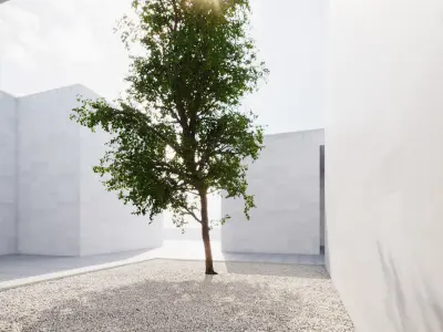 Large forest tree 3D model