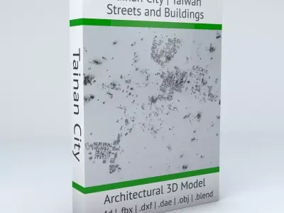 Tainan City Streets and Buildings 3D model