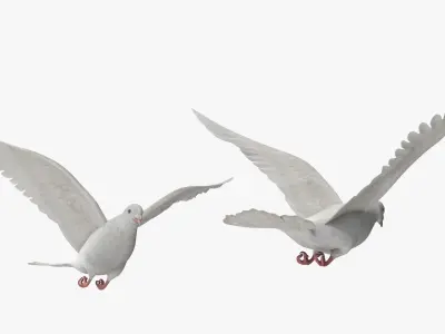  Lowpoly White Dove in Flight 