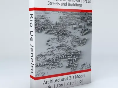 Rio De Janeiro Downtown Streets and Buildings 3D model