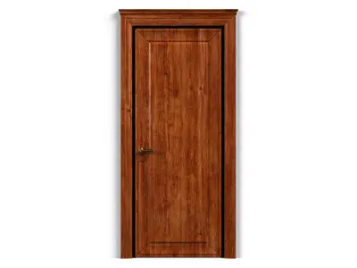 Door0049 wooden door on wall 3D model