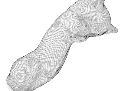 Cat Figure 3D model