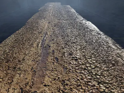 3d scan - muddy road 01 Low-poly 3D model