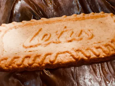 Lotus biscuit Free 3D model