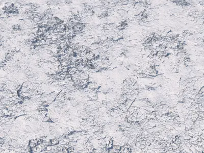 Ultra realistic Soil Scan 3D model