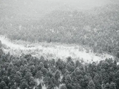 Minnies haberdashery 3D model