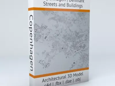 Copenhagen Streets and Buildings 3D model