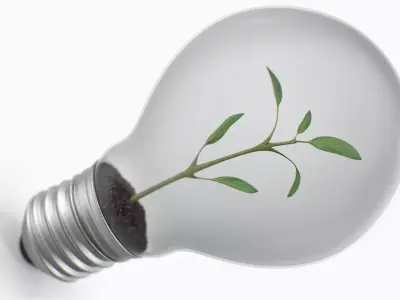 Lightbulb Plant 3D model