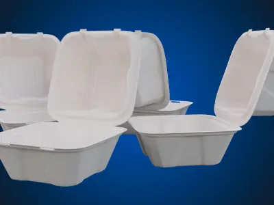 Compostable Food Container - Disposable 3D model